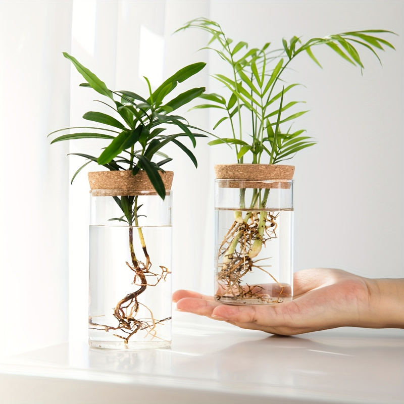1pc, Hydroponics Plants Deskto - đánh giá và giá Propagation Station Vase