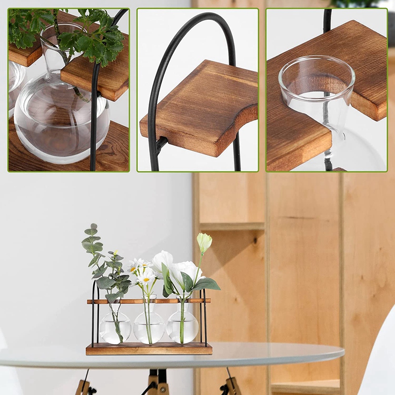 Plant Propagation Station with - đánh giá và giá Propagation Station Vase